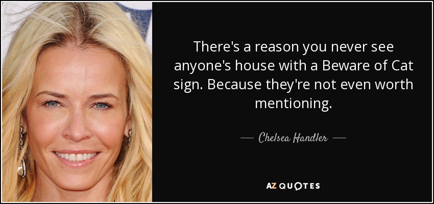 There's a reason you never see anyone's house with a Beware of Cat sign. Because they're not even worth mentioning. - Chelsea Handler
