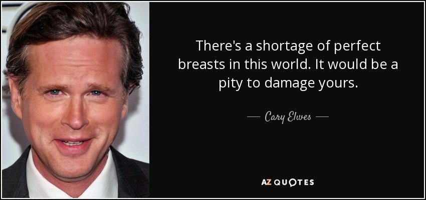 There's a shortage of perfect breasts in this world. It would be a pity to damage yours. - Cary Elwes