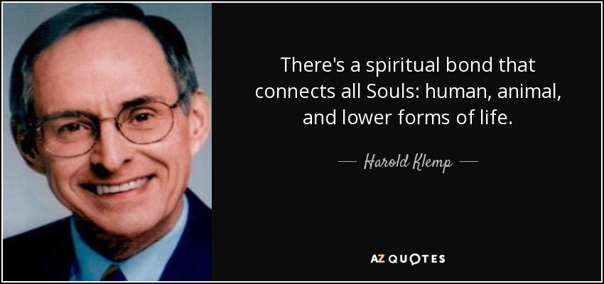 There's a spiritual bond that connects all Souls: human, animal, and lower forms of life. - Harold Klemp