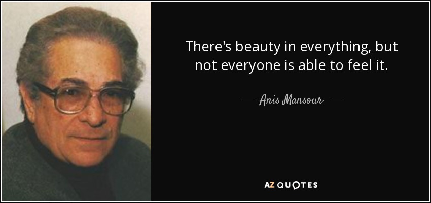 There's beauty in everything, but not everyone is able to feel it. - Anis Mansour
