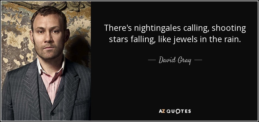 There's nightingales calling, shooting stars falling, like jewels in the rain. - David Gray