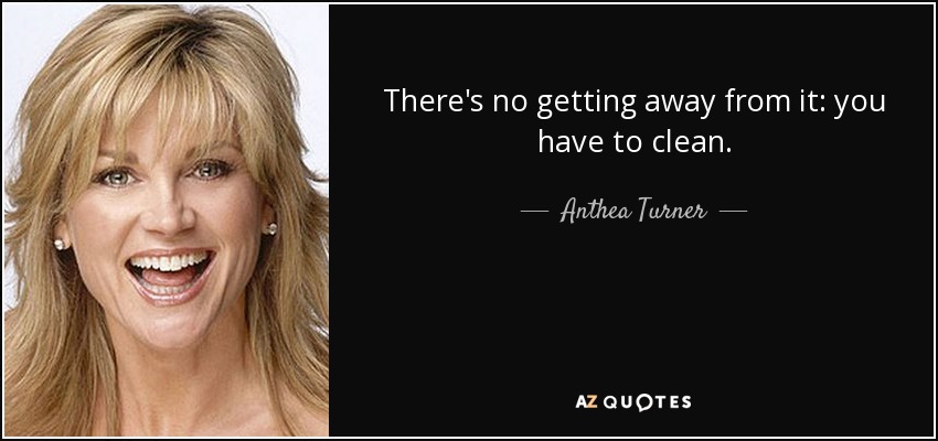 There's no getting away from it: you have to clean. - Anthea Turner