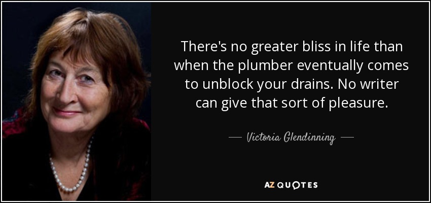 There's no greater bliss in life than when the plumber eventually comes to unblock your drains. No writer can give that sort of pleasure. - Victoria Glendinning