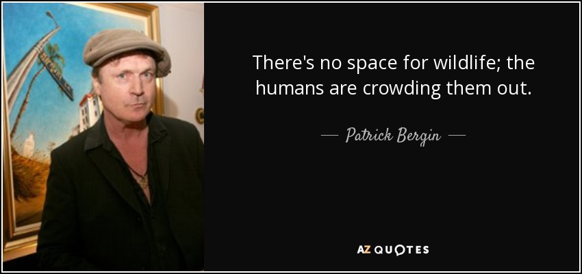 There's no space for wildlife; the humans are crowding them out. - Patrick Bergin