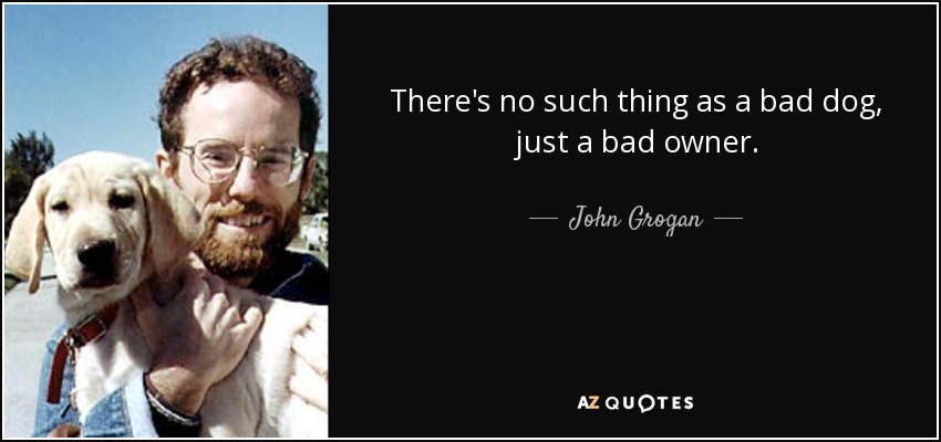 There's no such thing as a bad dog, just a bad owner. - John Grogan