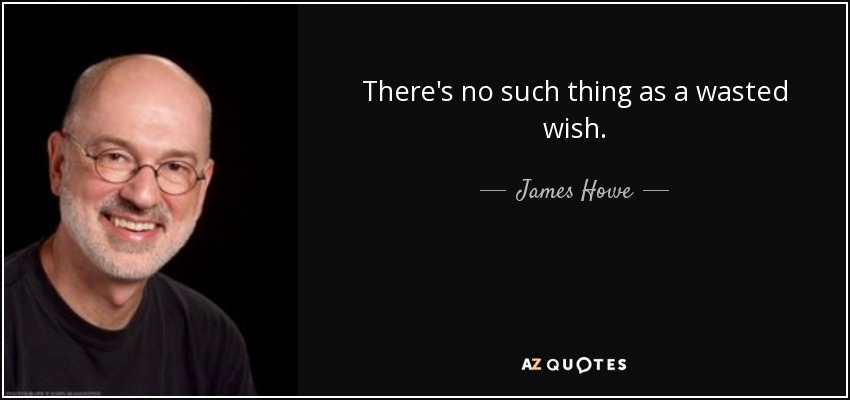 There's no such thing as a wasted wish. - James Howe