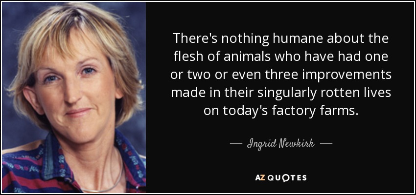 There's nothing humane about the flesh of animals who have had one or two or even three improvements made in their singularly rotten lives on today's factory farms. - Ingrid Newkirk