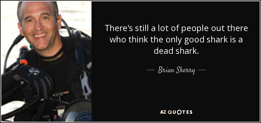 There's still a lot of people out there who think the only good shark is a dead shark. - Brian Skerry