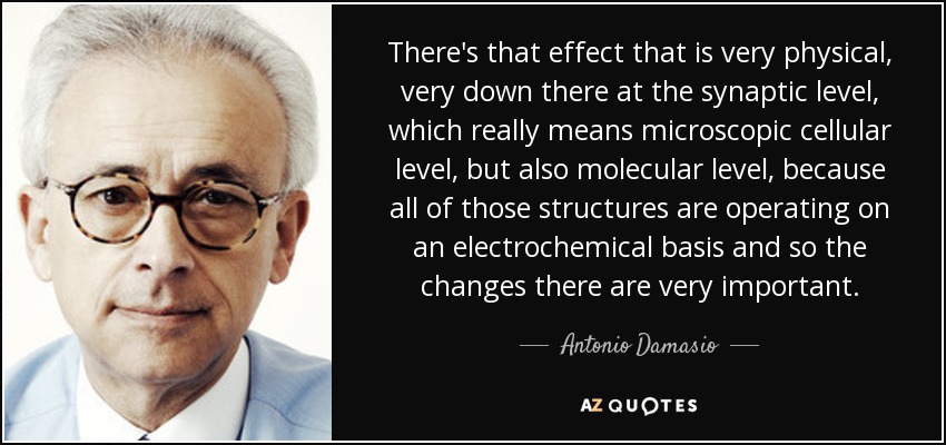 There's that effect that is very physical, very down there at the synaptic level, which really means microscopic cellular level, but also molecular level, because all of those structures are operating on an electrochemical basis and so the changes there are very important. - Antonio Damasio