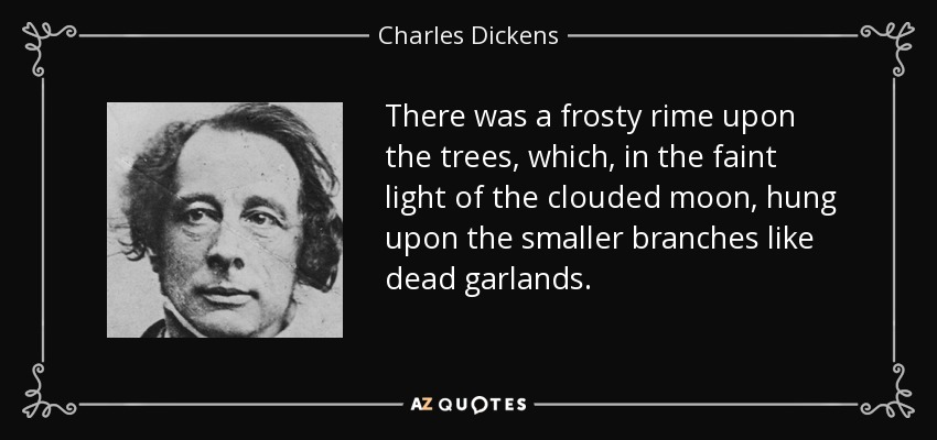 There was a frosty rime upon the trees, which, in the faint light of the clouded moon, hung upon the smaller branches like dead garlands. - Charles Dickens