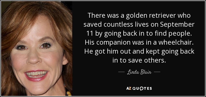 There was a golden retriever who saved countless lives on September 11 by going back in to find people. His companion was in a wheelchair. He got him out and kept going back in to save others. - Linda Blair