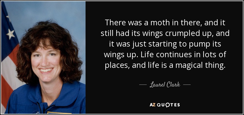 There was a moth in there, and it still had its wings crumpled up, and it was just starting to pump its wings up. Life continues in lots of places, and life is a magical thing. - Laurel Clark