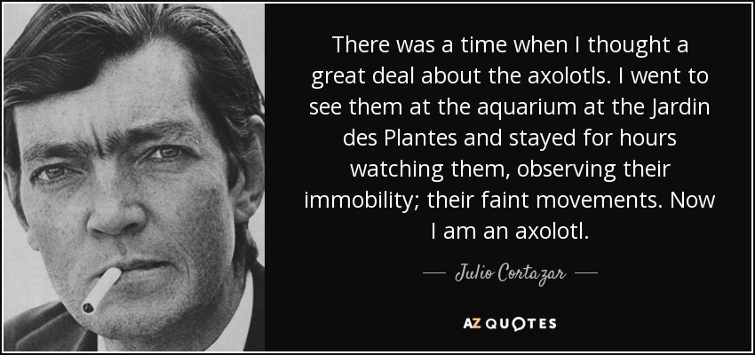 There was a time when I thought a great deal about the axolotls. I went to see them at the aquarium at the Jardin des Plantes and stayed for hours watching them, observing their immobility; their faint movements. Now I am an axolotl. - Julio Cortazar