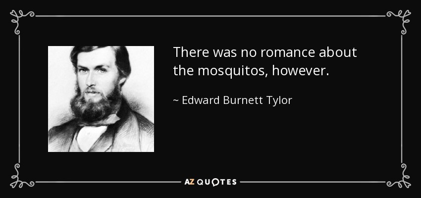 There was no romance about the mosquitos, however. - Edward Burnett Tylor
