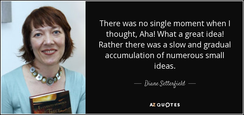 There was no single moment when I thought, Aha! What a great idea! Rather there was a slow and gradual accumulation of numerous small ideas. - Diane Setterfield