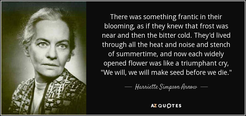 There was something frantic in their blooming, as if they knew that frost was near and then the bitter cold. They'd lived through all the heat and noise and stench of summertime, and now each widely opened flower was like a triumphant cry, 