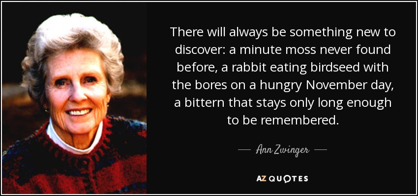 There will always be something new to discover: a minute moss never found before, a rabbit eating birdseed with the bores on a hungry November day, a bittern that stays only long enough to be remembered. - Ann Zwinger