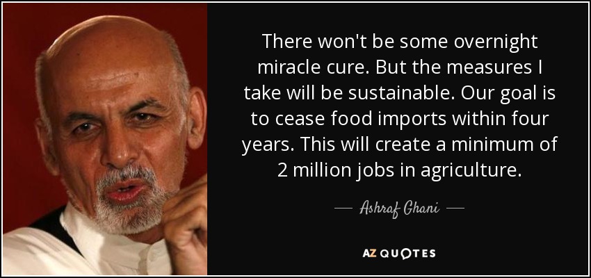 There won't be some overnight miracle cure. But the measures I take will be sustainable. Our goal is to cease food imports within four years. This will create a minimum of 2 million jobs in agriculture. - Ashraf Ghani