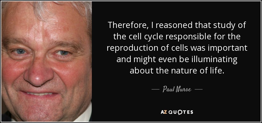 Therefore, I reasoned that study of the cell cycle responsible for the reproduction of cells was important and might even be illuminating about the nature of life. - Paul Nurse