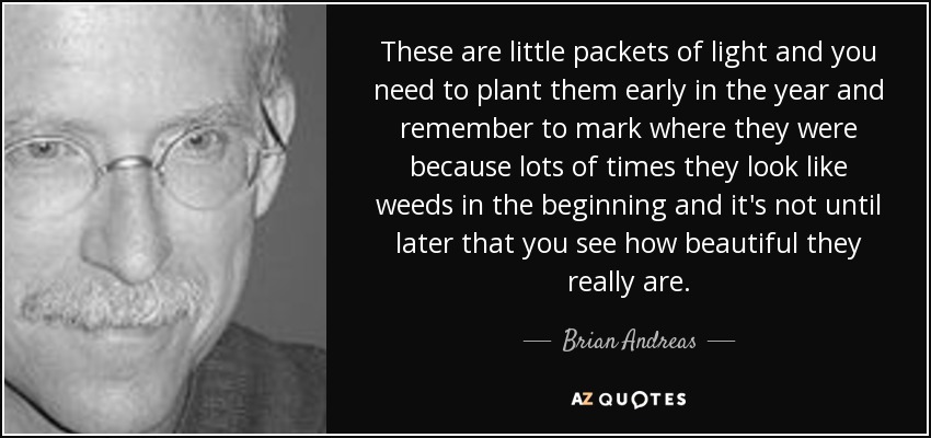 These are little packets of light and you need to plant them early in the year and remember to mark where they were because lots of times they look like weeds in the beginning and it's not until later that you see how beautiful they really are. - Brian Andreas