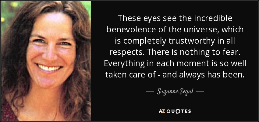 These eyes see the incredible benevolence of the universe, which is completely trustworthy in all respects. There is nothing to fear. Everything in each moment is so well taken care of - and always has been. - Suzanne Segal