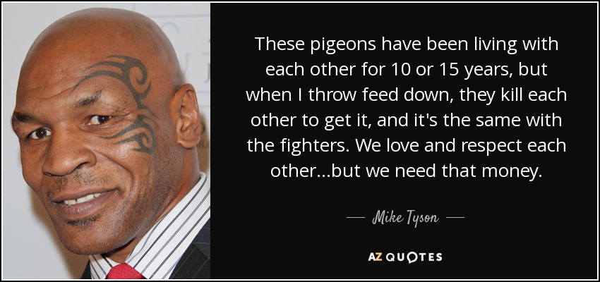 These pigeons have been living with each other for 10 or 15 years, but when I throw feed down, they kill each other to get it, and it's the same with the fighters. We love and respect each other...but we need that money. - Mike Tyson