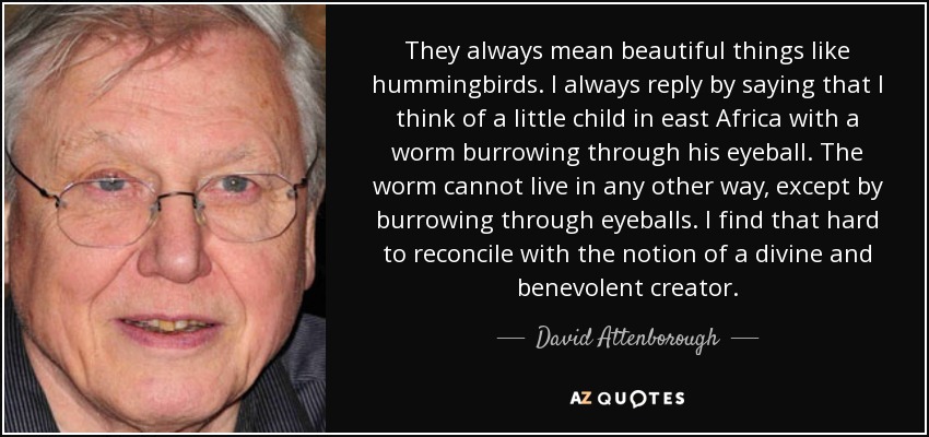 They always mean beautiful things like hummingbirds. I always reply by saying that I think of a little child in east Africa with a worm burrowing through his eyeball. The worm cannot live in any other way, except by burrowing through eyeballs. I find that hard to reconcile with the notion of a divine and benevolent creator. - David Attenborough