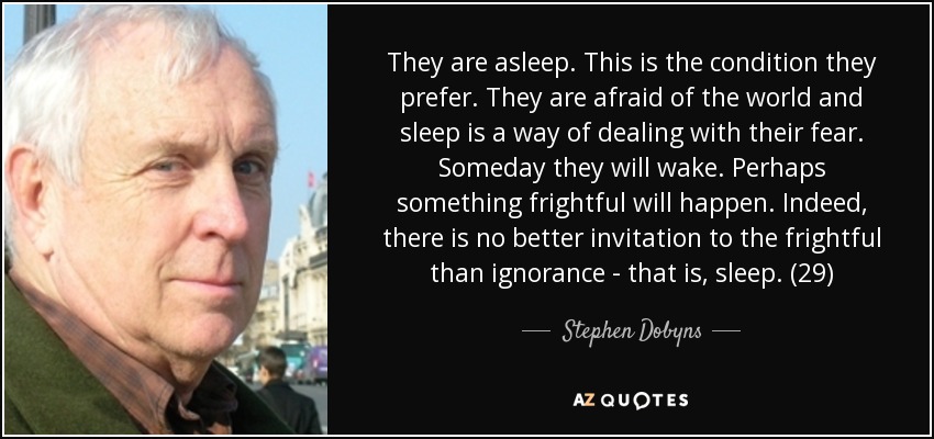 They are asleep. This is the condition they prefer. They are afraid of the world and sleep is a way of dealing with their fear. Someday they will wake. Perhaps something frightful will happen. Indeed, there is no better invitation to the frightful than ignorance - that is, sleep. (29) - Stephen Dobyns