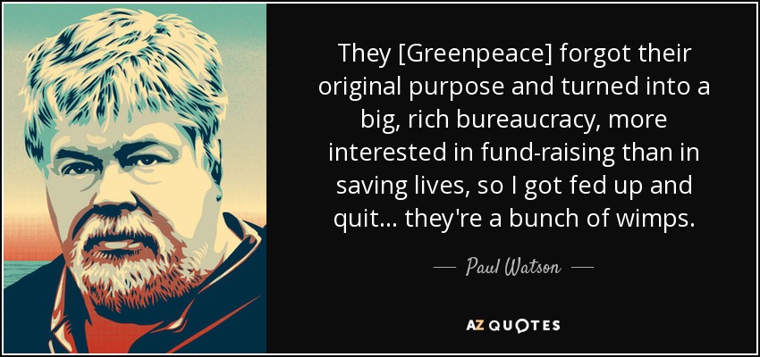 They [Greenpeace] forgot their original purpose and turned into a big, rich bureaucracy, more interested in fund-raising than in saving lives, so I got fed up and quit... they're a bunch of wimps. - Paul Watson