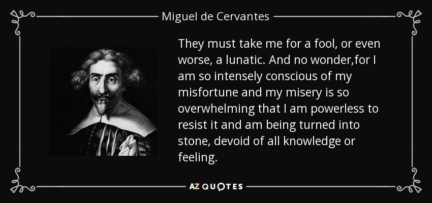 They must take me for a fool, or even worse, a lunatic. And no wonder ,for I am so intensely conscious of my misfortune and my misery is so overwhelming that I am powerless to resist it and am being turned into stone, devoid of all knowledge or feeling. - Miguel de Cervantes