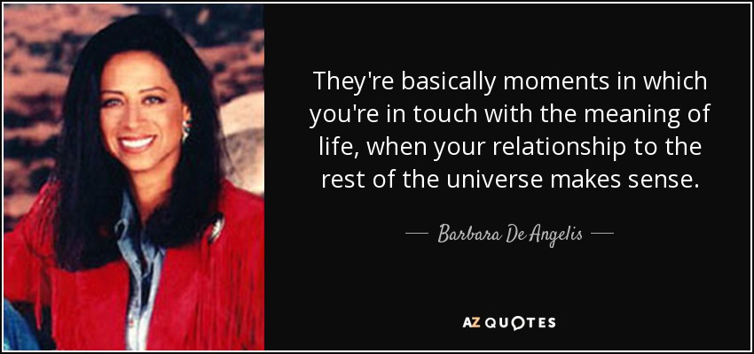 They're basically moments in which you're in touch with the meaning of life, when your relationship to the rest of the universe makes sense. - Barbara De Angelis