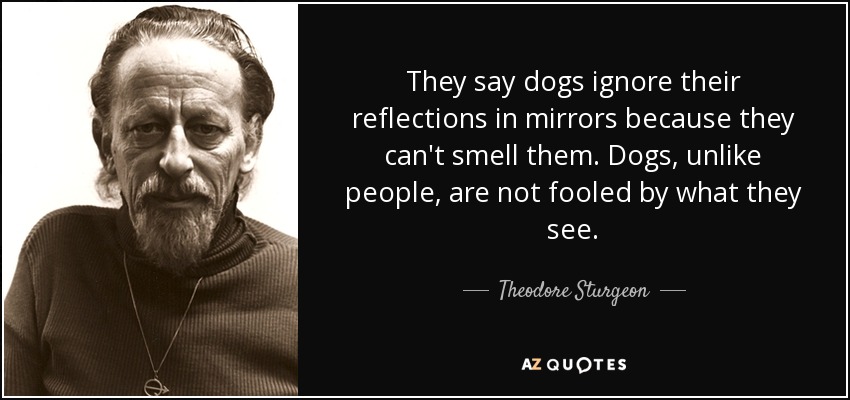 They say dogs ignore their reflections in mirrors because they can't smell them. Dogs, unlike people, are not fooled by what they see. - Theodore Sturgeon