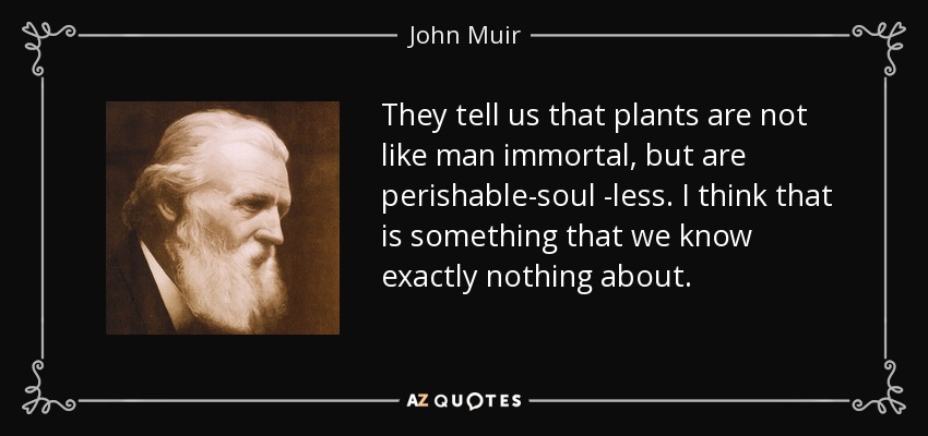 They tell us that plants are not like man immortal, but are perishable-soul -less. I think that is something that we know exactly nothing about. - John Muir