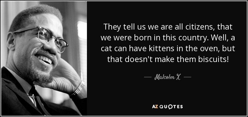 They tell us we are all citizens, that we were born in this country. Well, a cat can have kittens in the oven, but that doesn't make them biscuits! - Malcolm X