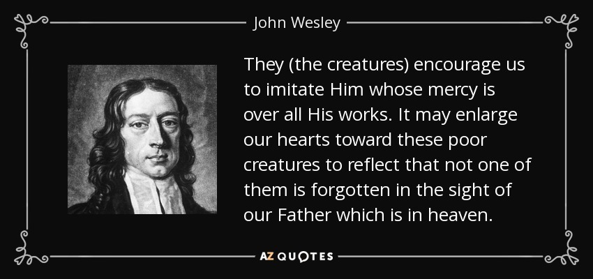 They (the creatures) encourage us to imitate Him whose mercy is over all His works. It may enlarge our hearts toward these poor creatures to reflect that not one of them is forgotten in the sight of our Father which is in heaven. - John Wesley