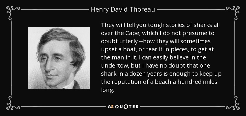 They will tell you tough stories of sharks all over the Cape, which I do not presume to doubt utterly,--how they will sometimes upset a boat, or tear it in pieces, to get at the man in it. I can easily believe in the undertow, but I have no doubt that one shark in a dozen years is enough to keep up the reputation of a beach a hundred miles long. - Henry David Thoreau