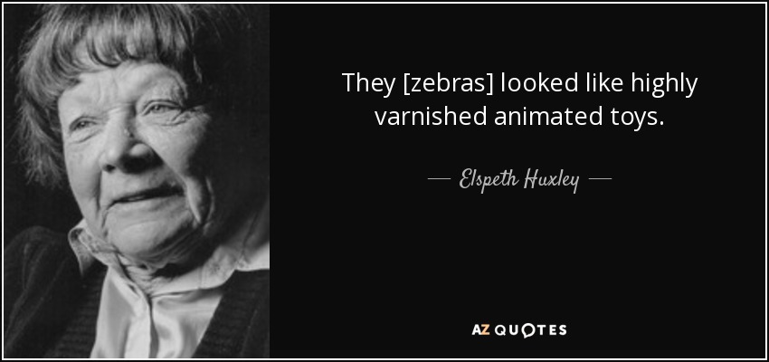 They [zebras] looked like highly varnished animated toys. - Elspeth Huxley