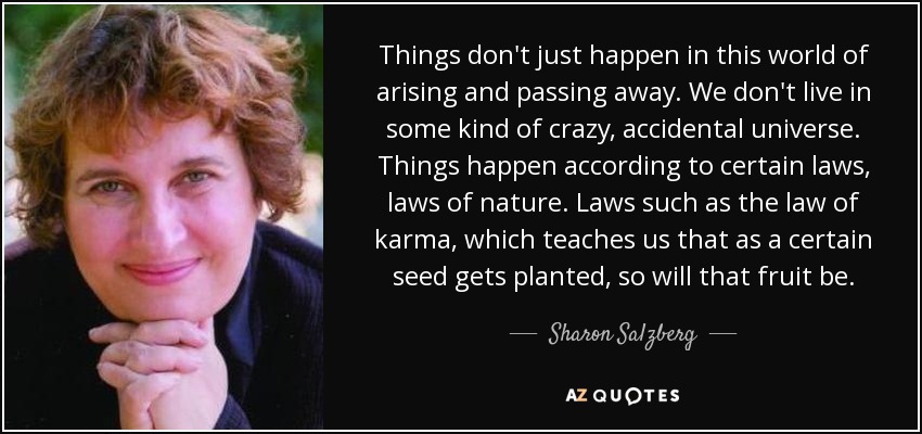 Things don't just happen in this world of arising and passing away. We don't live in some kind of crazy, accidental universe. Things happen according to certain laws, laws of nature. Laws such as the law of karma, which teaches us that as a certain seed gets planted, so will that fruit be. - Sharon Salzberg