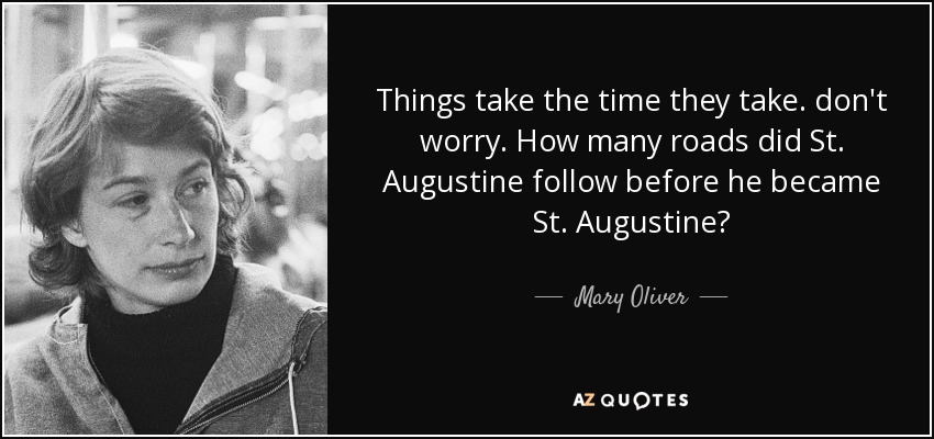 Things take the time they take. don't worry. How many roads did St. Augustine follow before he became St. Augustine? - Mary Oliver
