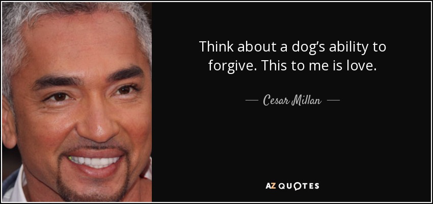 Think about a dog’s ability to forgive. This to me is love. - Cesar Millan