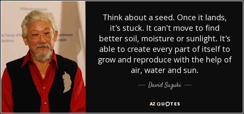 Think about a seed. Once it lands, it's stuck. It can't move to find better soil, moisture or sunlight. It's able to create every part of itself to grow and reproduce with the help of air, water and sun. - David Suzuki