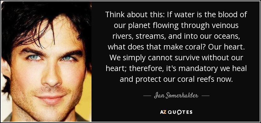 Think about this: If water is the blood of our planet flowing through veinous rivers, streams, and into our oceans, what does that make coral? Our heart. We simply cannot survive without our heart; therefore, it's mandatory we heal and protect our coral reefs now. - Ian Somerhalder
