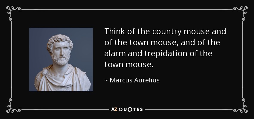 Think of the country mouse and of the town mouse, and of the alarm and trepidation of the town mouse. - Marcus Aurelius