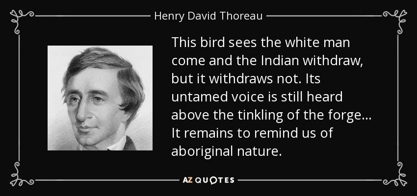 This bird sees the white man come and the Indian withdraw, but it withdraws not. Its untamed voice is still heard above the tinkling of the forge... It remains to remind us of aboriginal nature. - Henry David Thoreau