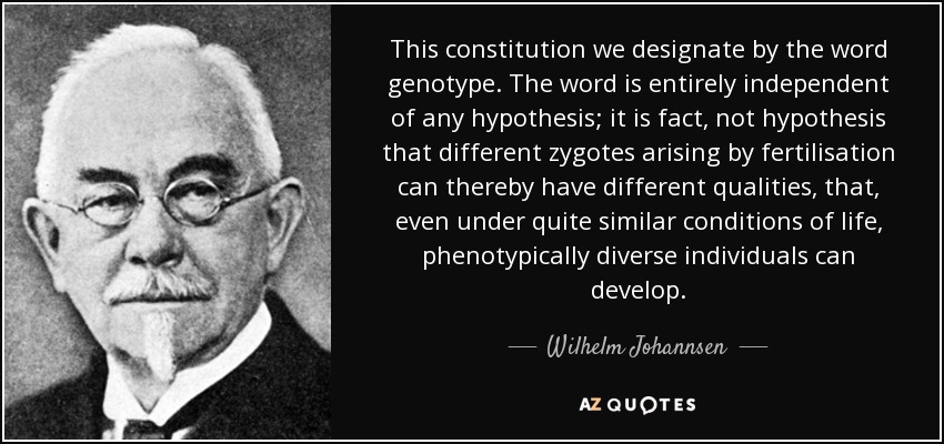 This constitution we designate by the word genotype. The word is entirely independent of any hypothesis; it is fact, not hypothesis that different zygotes arising by fertilisation can thereby have different qualities, that, even under quite similar conditions of life, phenotypically diverse individuals can develop. - Wilhelm Johannsen