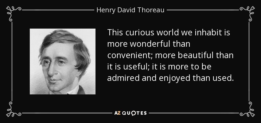 This curious world we inhabit is more wonderful than convenient; more beautiful than it is useful; it is more to be admired and enjoyed than used. - Henry David Thoreau