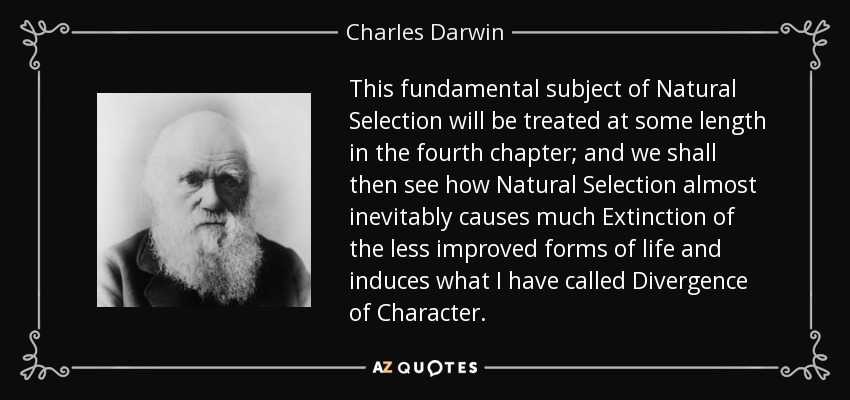 This fundamental subject of Natural Selection will be treated at some length in the fourth chapter; and we shall then see how Natural Selection almost inevitably causes much Extinction of the less improved forms of life and induces what I have called Divergence of Character. - Charles Darwin
