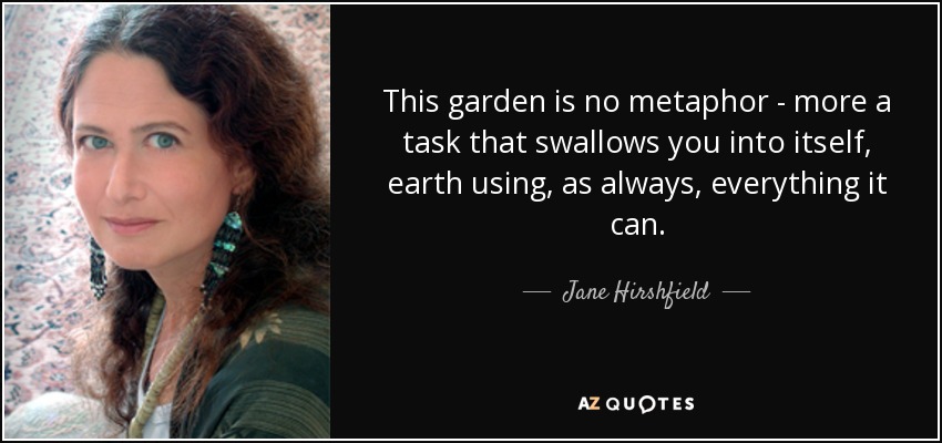 This garden is no metaphor - more a task that swallows you into itself, earth using, as always, everything it can. - Jane Hirshfield