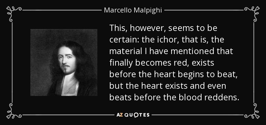 This, however, seems to be certain: the ichor, that is, the material I have mentioned that finally becomes red, exists before the heart begins to beat, but the heart exists and even beats before the blood reddens. - Marcello Malpighi