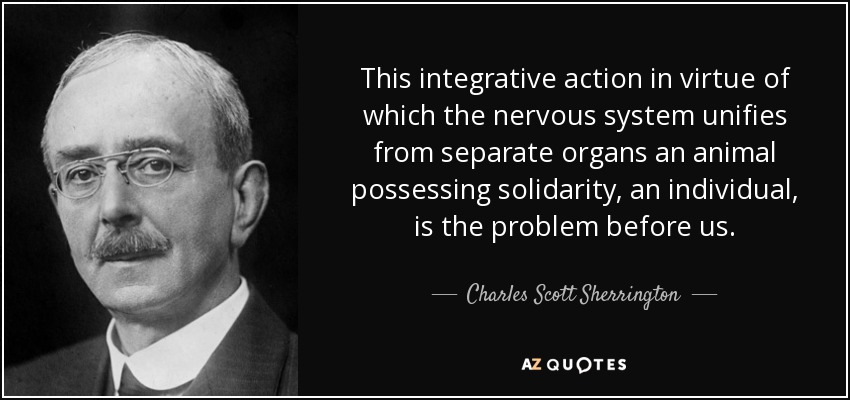 This integrative action in virtue of which the nervous system unifies from separate organs an animal possessing solidarity, an individual, is the problem before us. - Charles Scott Sherrington